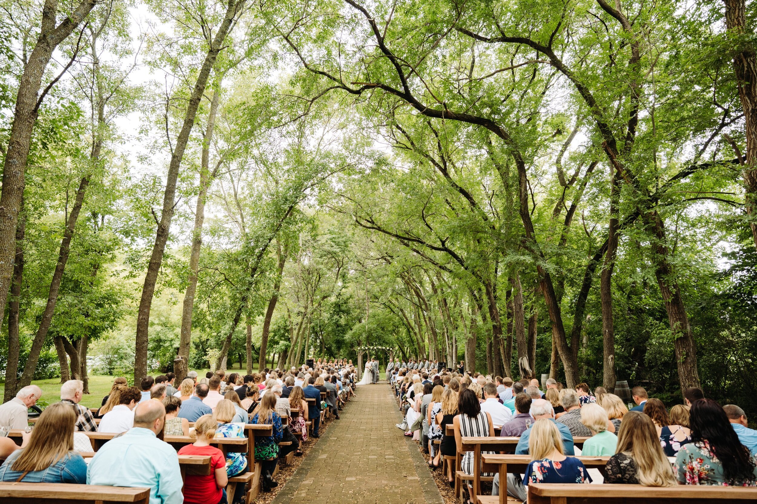 MN Wedding DJ seamlessly working with your other wedding vendors